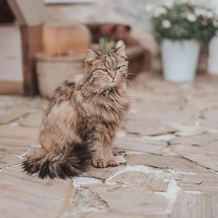 Grosskandlerhaus 3* Unterdambach