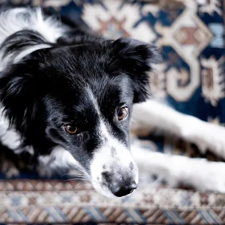 Pensjonat Grosskandlerhaus 3*