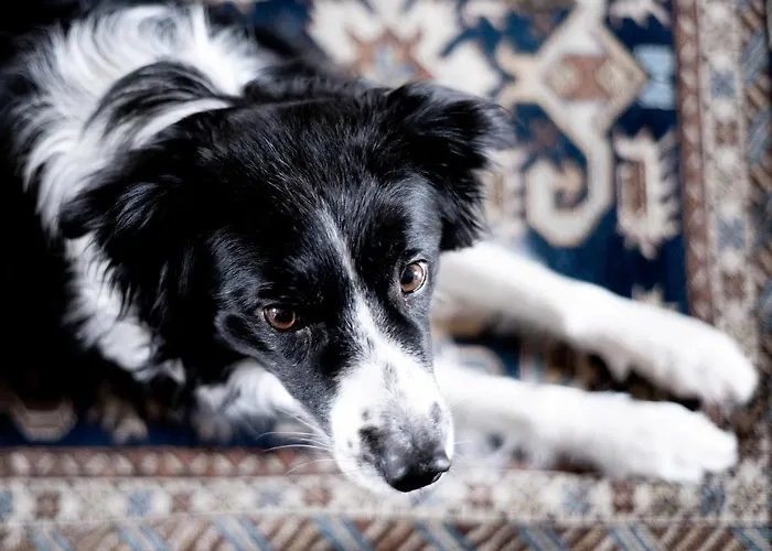 Casa de hóspedes Grosskandlerhaus 3*