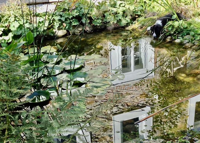 Grosskandlerhaus 3* Unterdambach