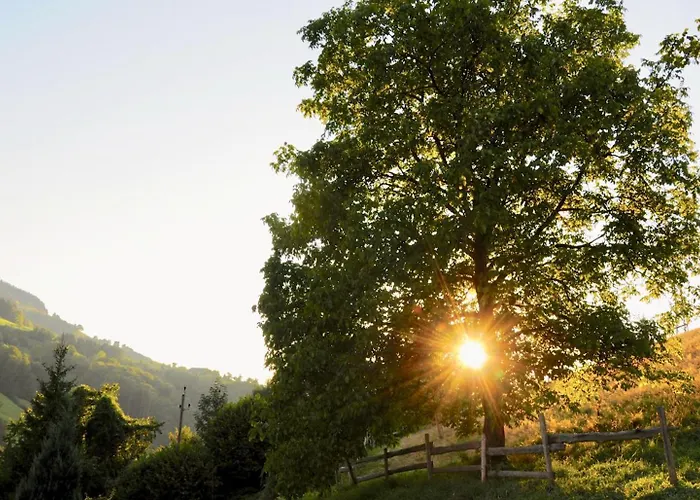 Grosskandlerhaus Unterdambach